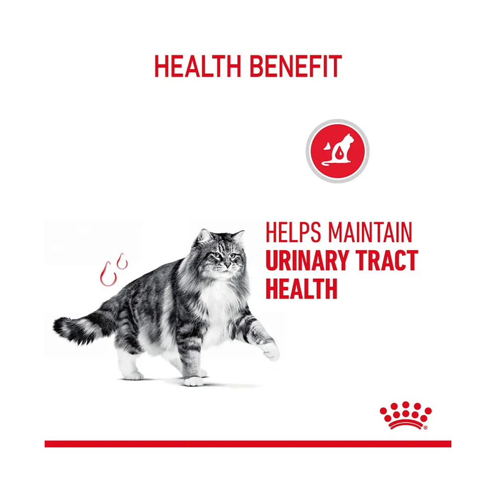 Royal Canin Urinary Care Pouch in Jelly