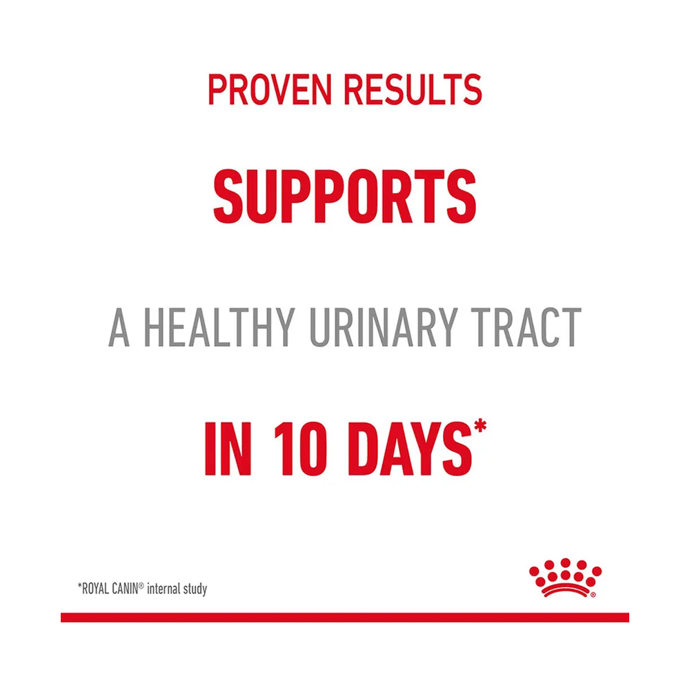 Royal Canin Urinary Care Pouch in Jelly
