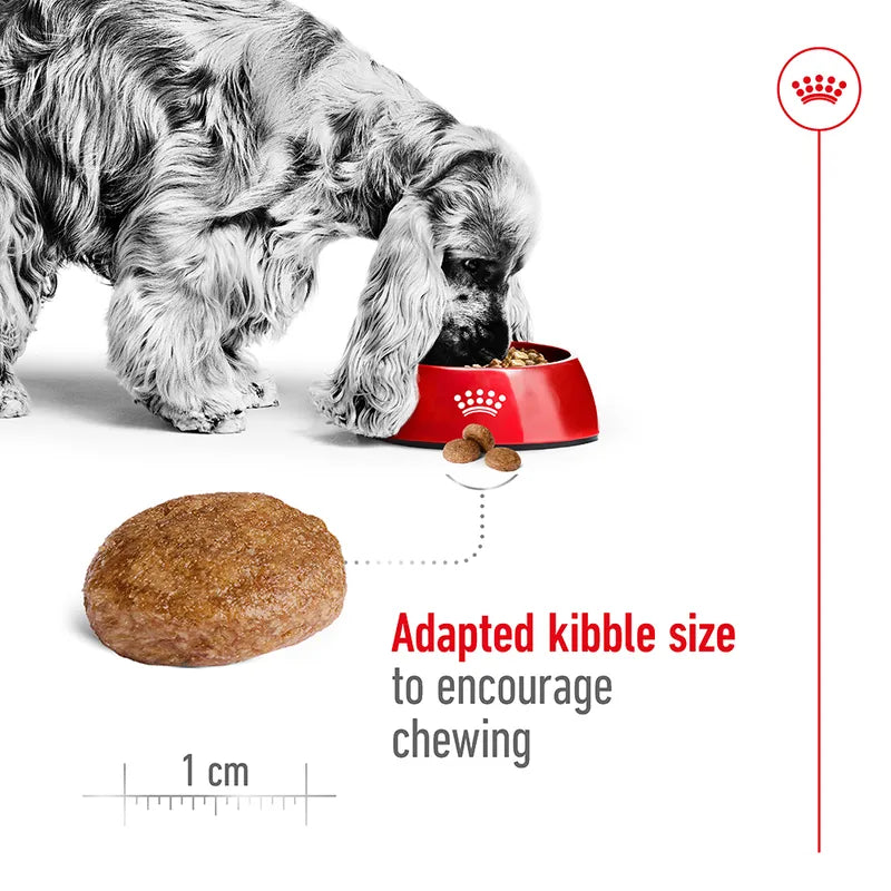 Royal Canin Medium Adult 7+ 4kg