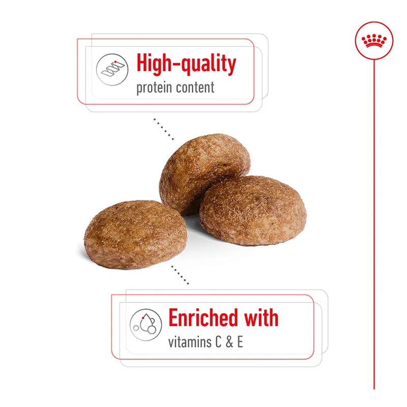 Royal Canin Medium Adult 7+ 4kg