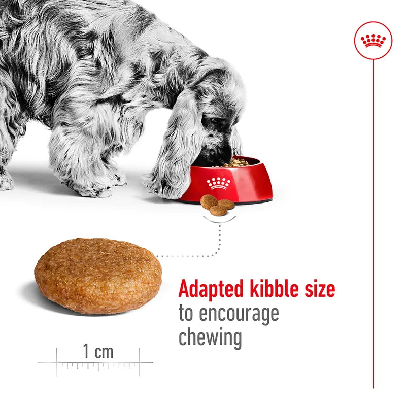Royal Canin Medium Adult
