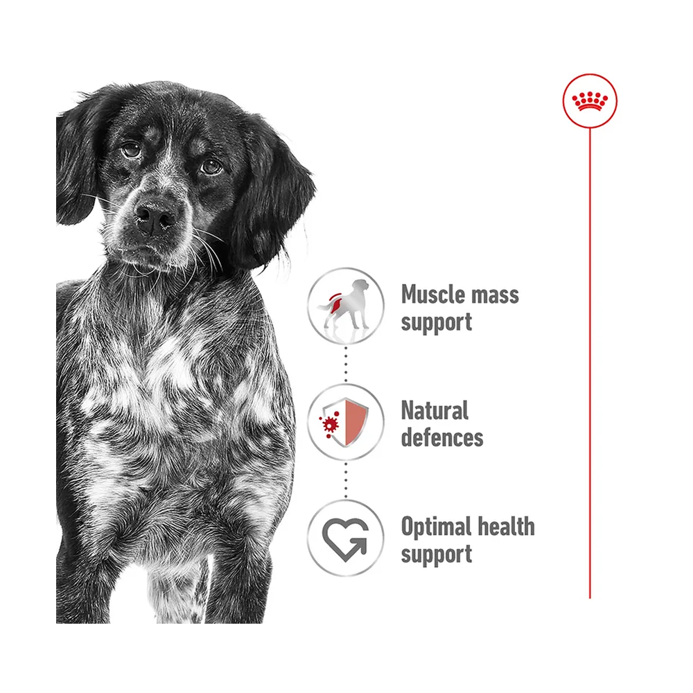 Royal Canin Medium Adult In Gravy Pouch 140g