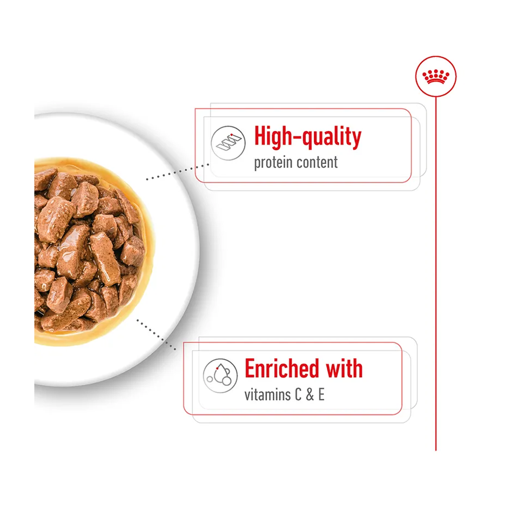 Royal Canin Medium Adult In Gravy Pouch 140g