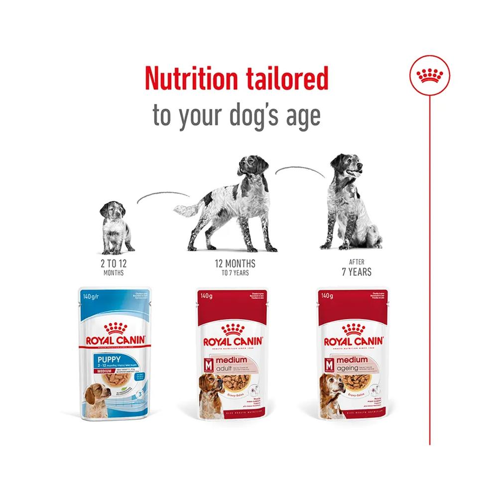 Royal Canin Medium Adult In Gravy Pouch 140g