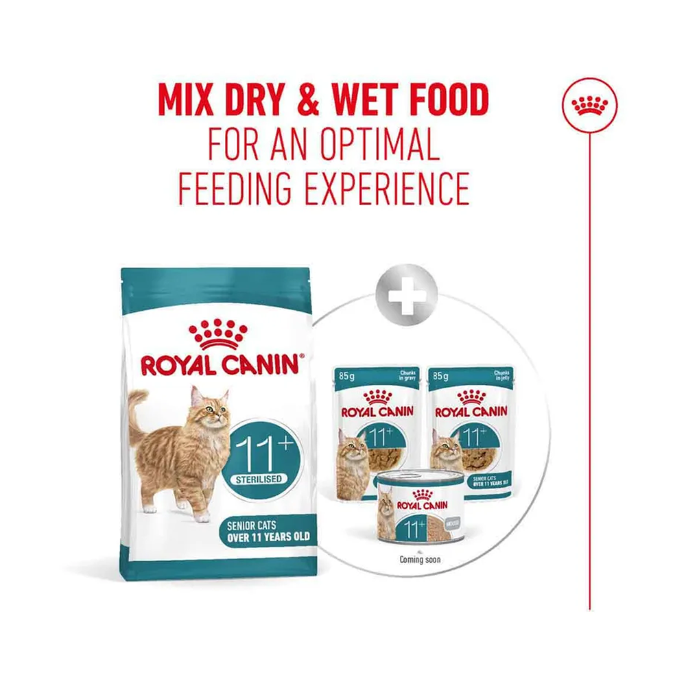 Royal Canin Ageing 11+