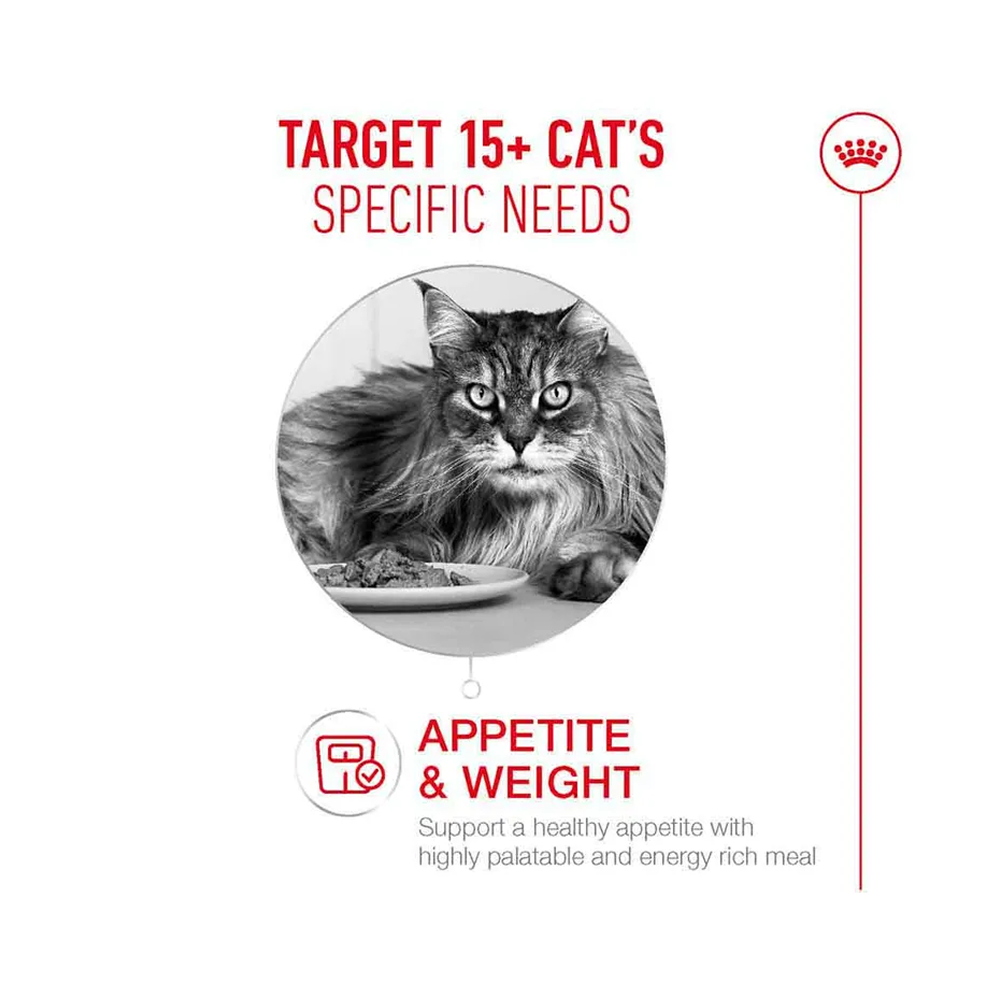 Royal Canin Ageing 15+