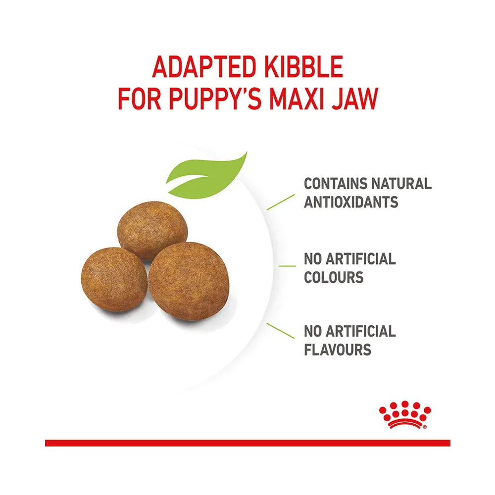 Royal Canin Maxi Puppy 3kg