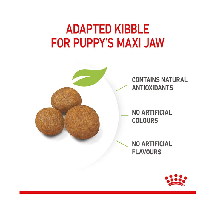 Royal Canin Maxi Puppy 3kg