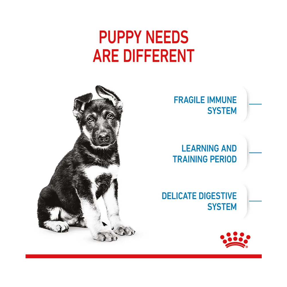 Royal Canin Maxi Puppy 3kg