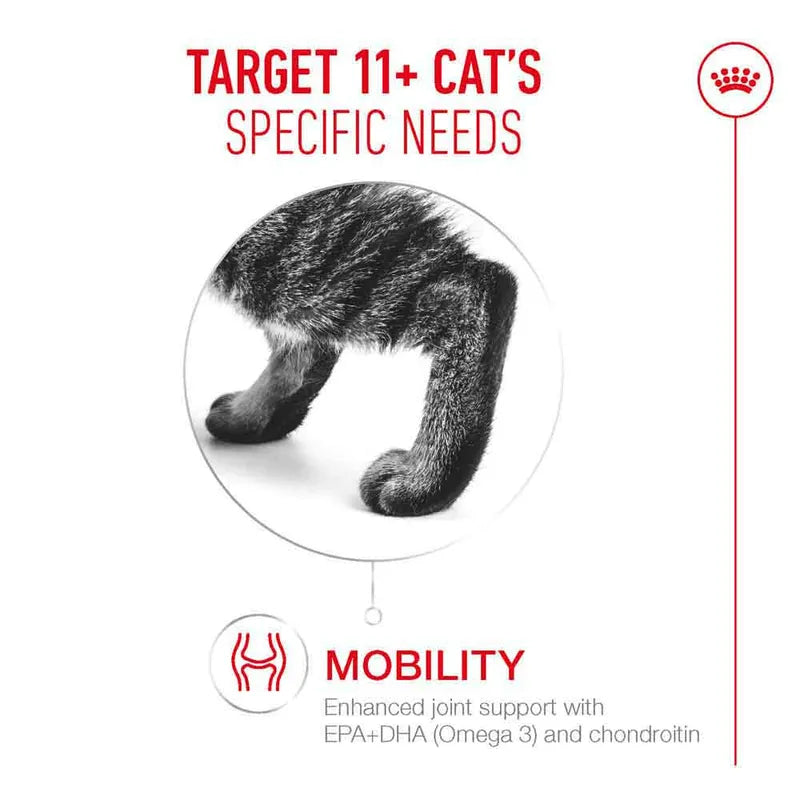 Royal Canin Ageing 11+ Mousse