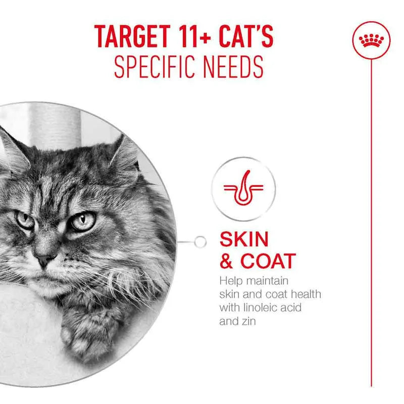 Royal Canin Ageing 11+ Mousse