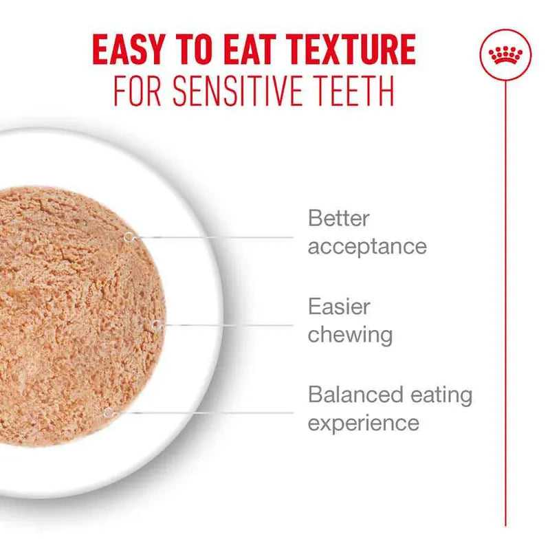 Royal Canin Ageing 11+ Mousse