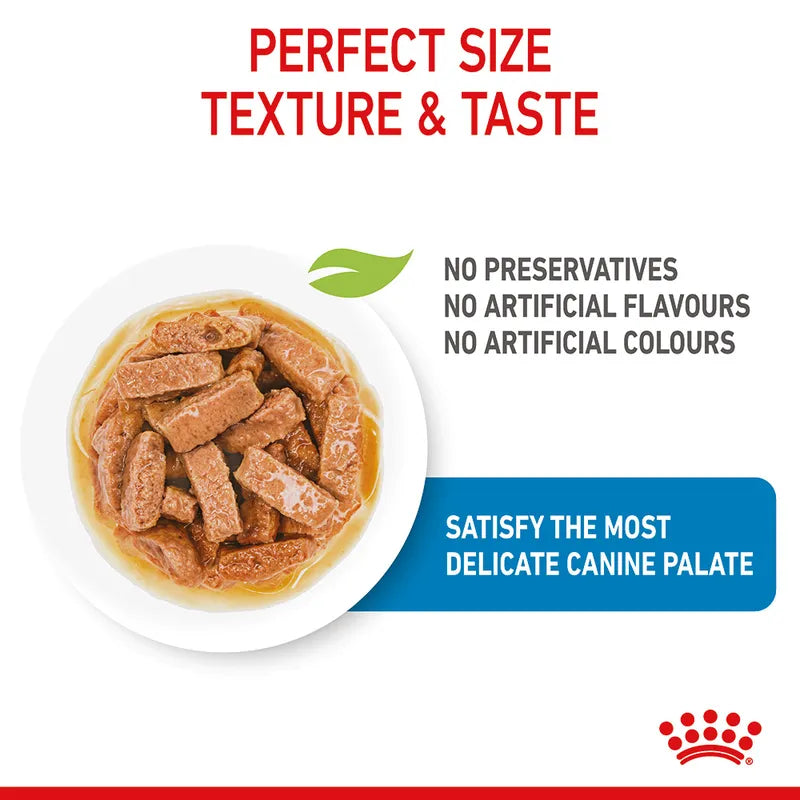 Royal Canin Maxi Puppy In Gravy Pouch 140g