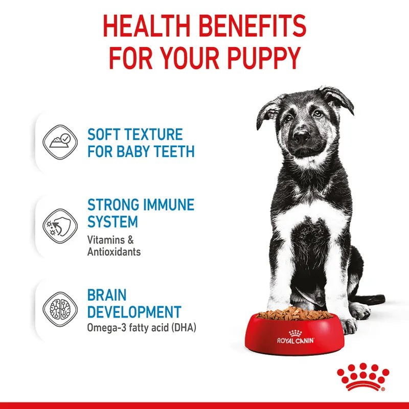 Royal Canin Maxi Puppy In Gravy Pouch 140g