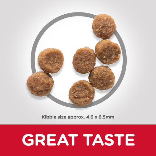Hill's Science Plan Small & Mini Puppy Chicken