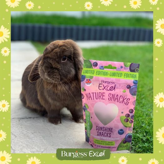Burgess Excel Sunshine Snacks 60g