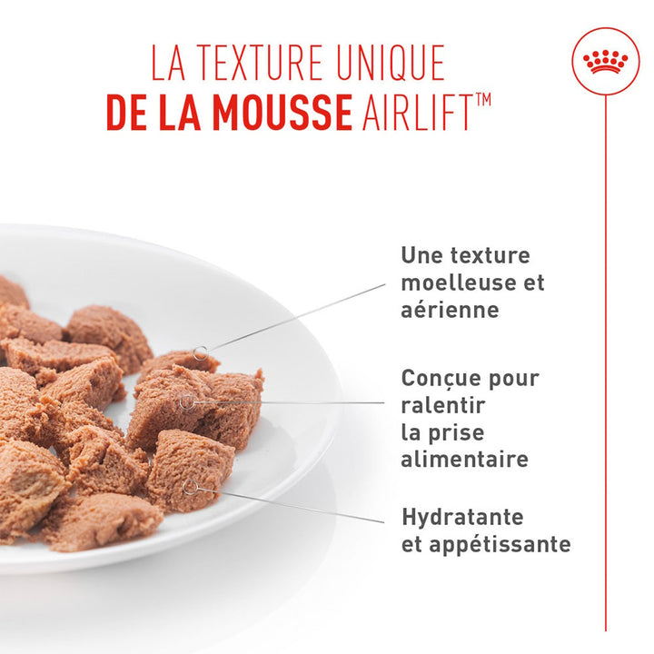 Royal Canin Digestive Care AirLift™ Mousse 85g