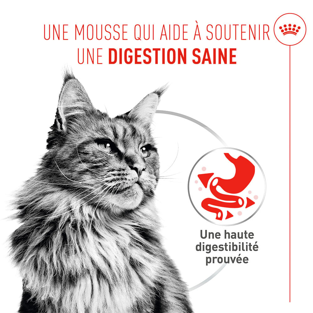 Royal Canin Digestive Care AirLift™ Mousse 85g