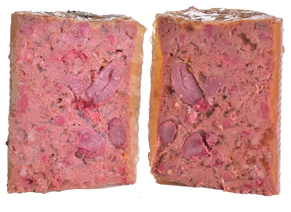 CARNILOVE Tin Salmon & Turkey For Puppy 400g