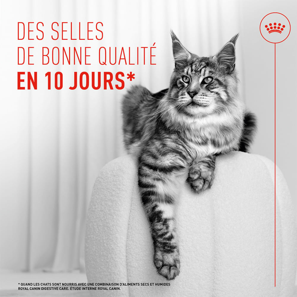 Royal Canin Digestive Care AirLift™ Mousse 85g
